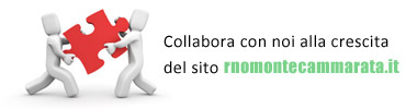 Collabora con noi