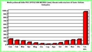 dati statistici RNO