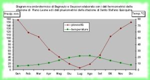 RNO Dati statistici