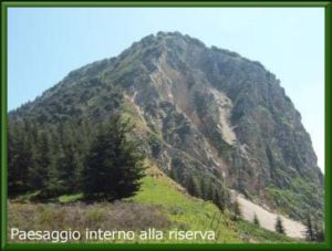 Paesaggi Riserva